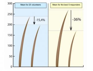 Immagine in cui si evidenzia come la crescita del pelo sia del 36% veno veloce utilizzando l'estratto di Fibraura recisa rispetto al placebo