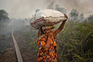 SUMATRA ISLAND, INDONESIA - JUNE 27: A woman walks trough haze as a forrest fire burns bushes and fields June 27, 2013 in Siak Regency, Riau Province, Indonesia. The fires on Sumatra have caused record smog in Malaysia and Singapore. Sumatra has stepped up efforts to fight the fires to relieve the conditions. Eight farmers have been arrested for setting the fires on Sumatra Island. (Photo by Ulet Ifansasti/Getty Images)