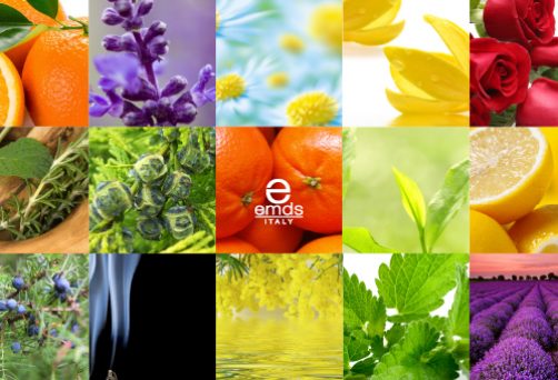 Corso di aromaterapia e marketing olfattivo