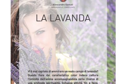 La Lavanda