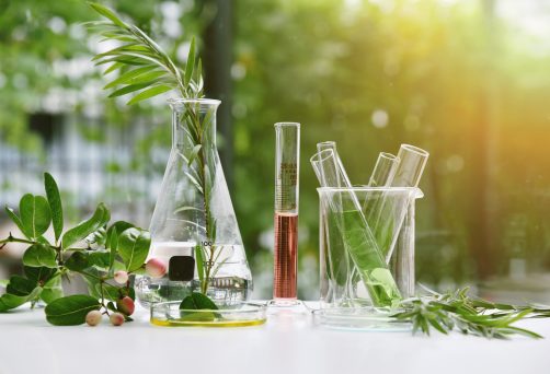 Aromaterapia Vibrazionale